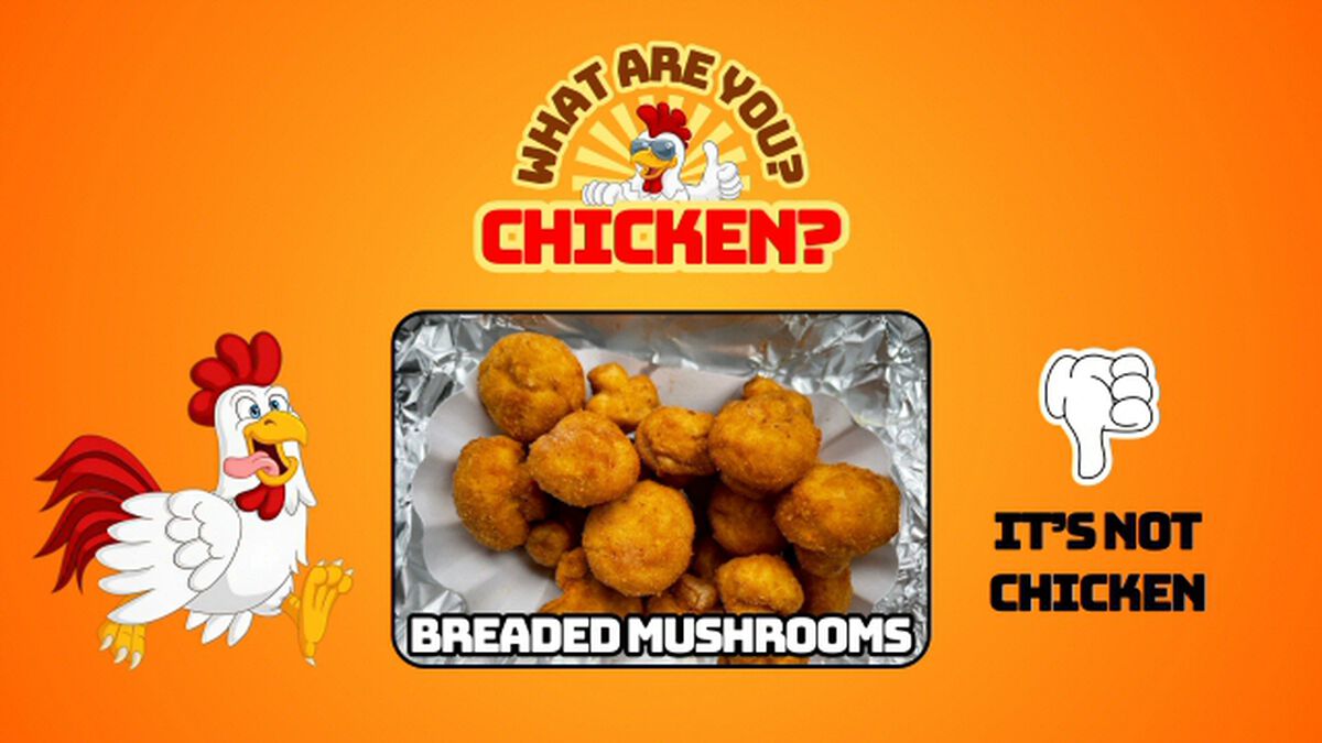 What Are You? Chicken? image number null